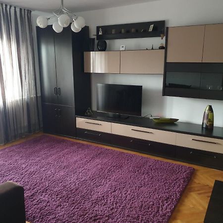 Apartament Confortabil In Cluj-Napoca Eksteriør bilde